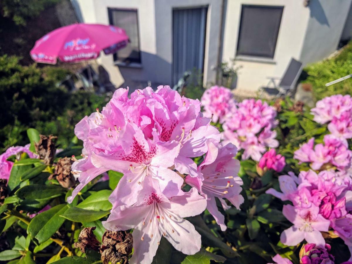 Ferienwohnung Mit Terrasse Grimma Buitenkant foto